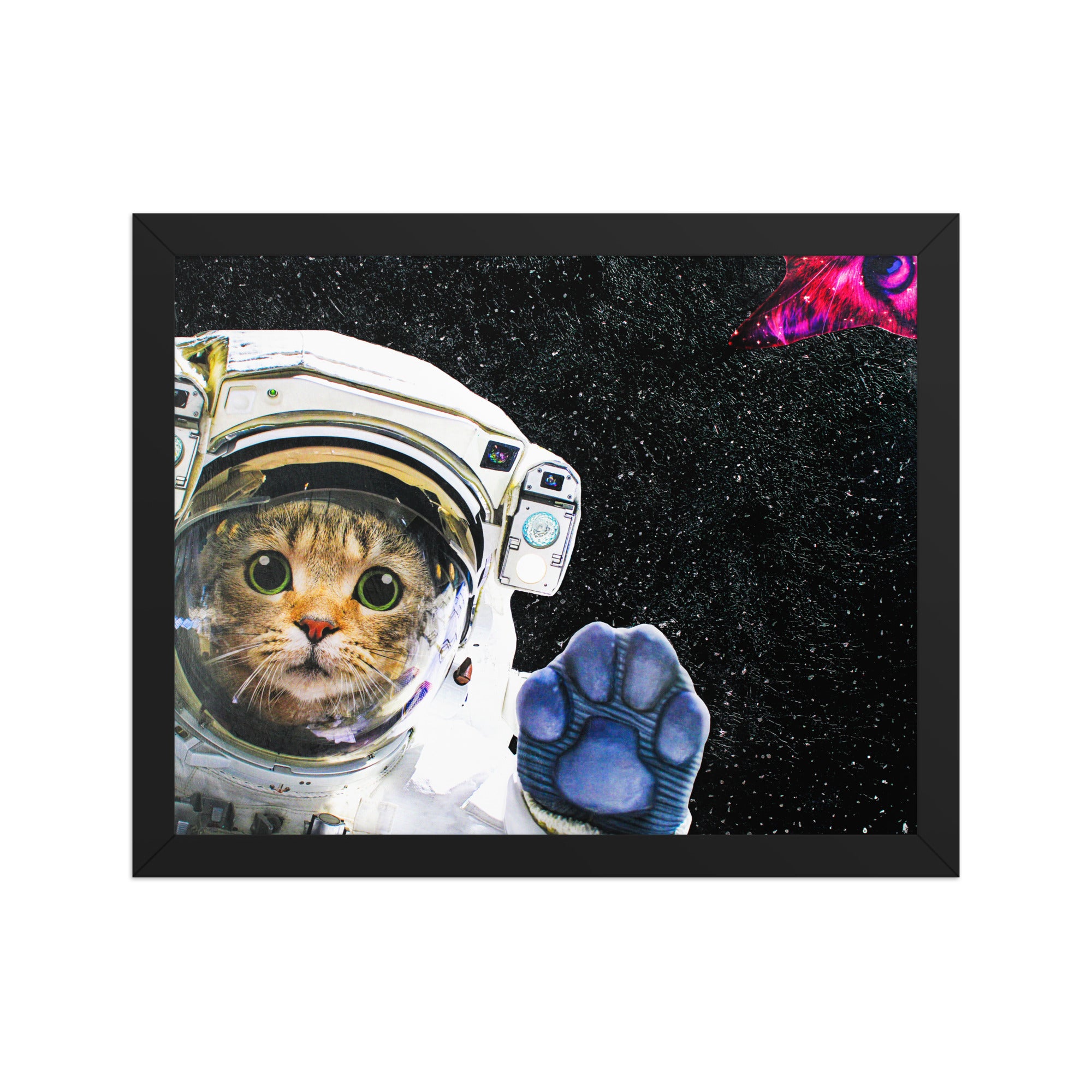 Space Cat