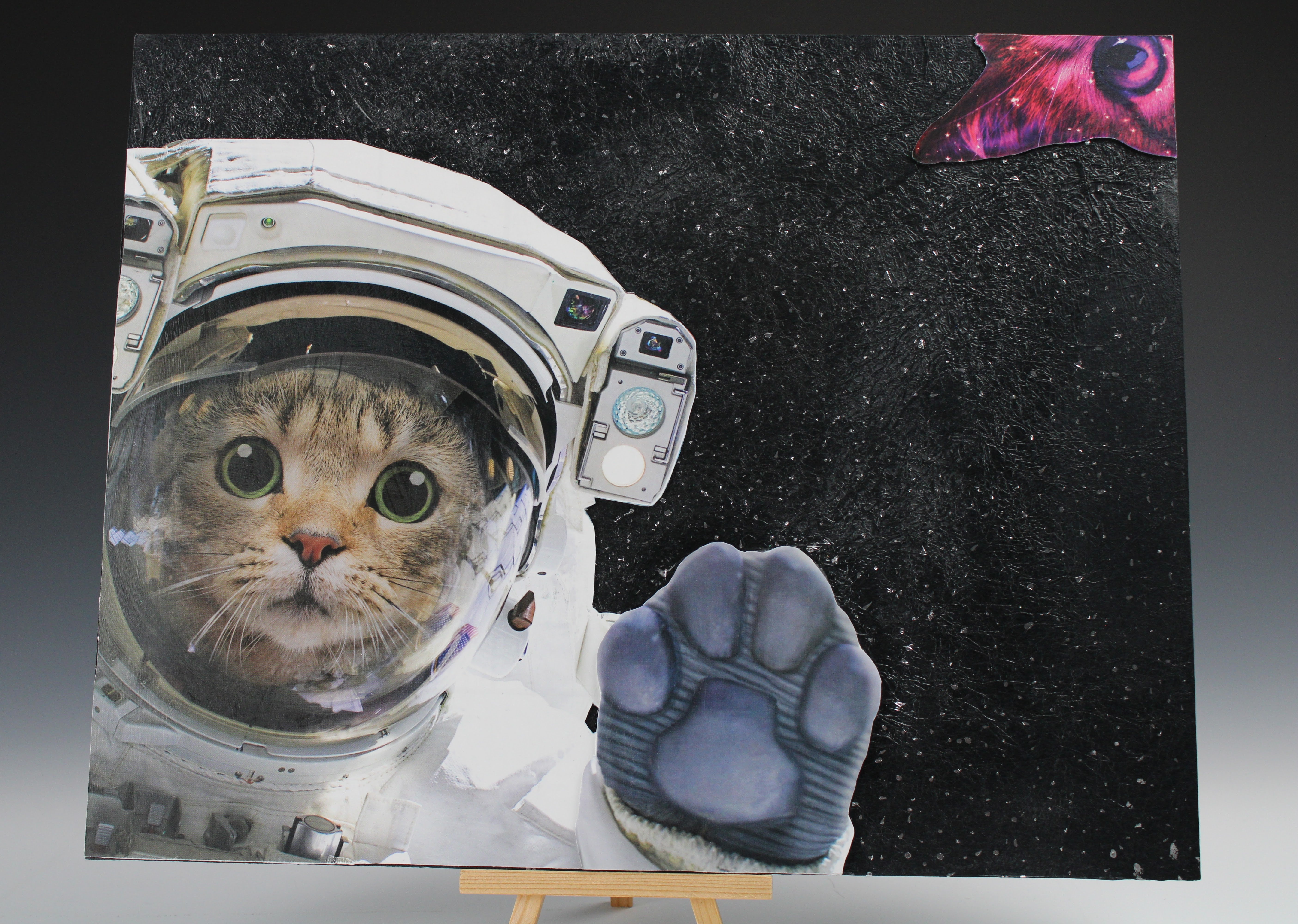 Space Cat