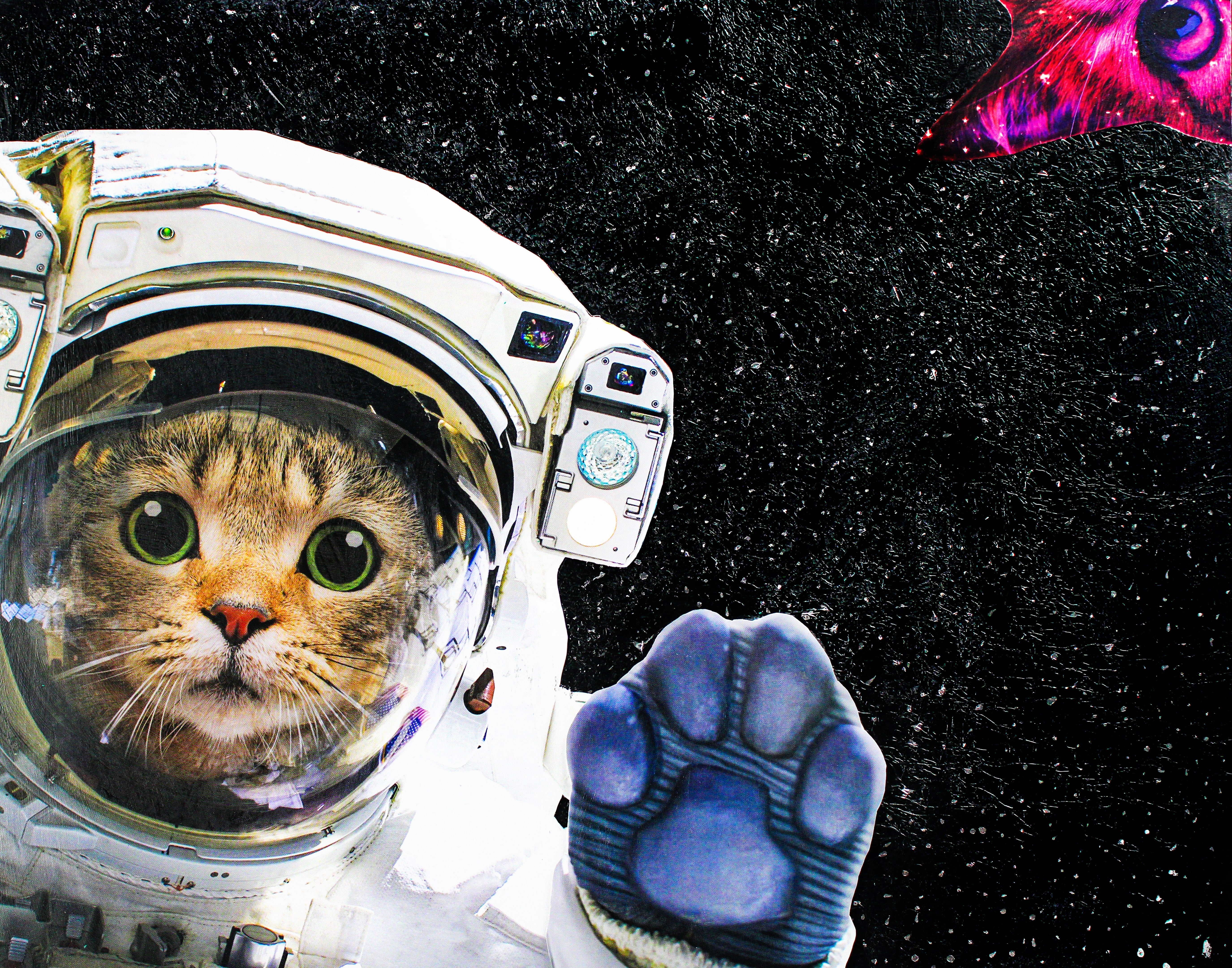 space cat poster